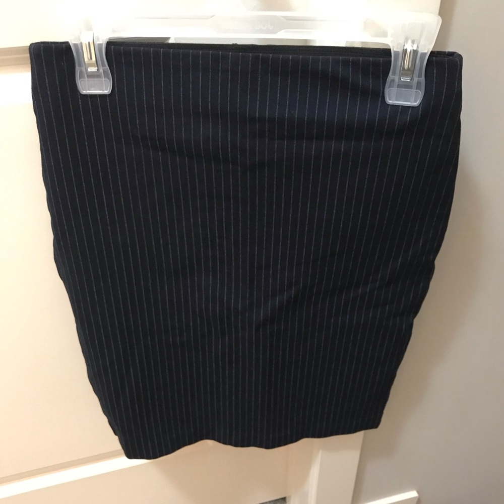 Zara Pinstripe Skirt